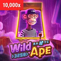 Người mới bắt đầu chơi casino tại ole77